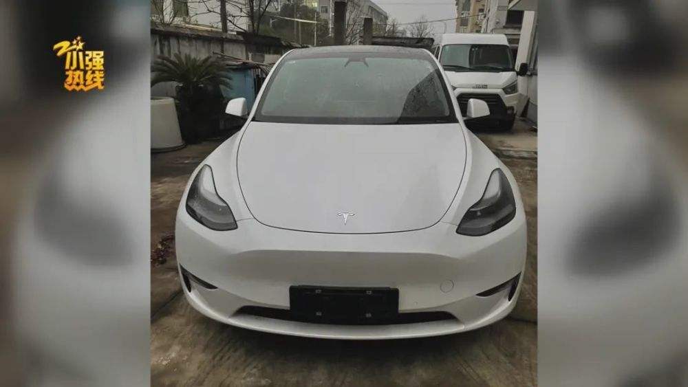 特斯拉抬人 特斯拉 这个人