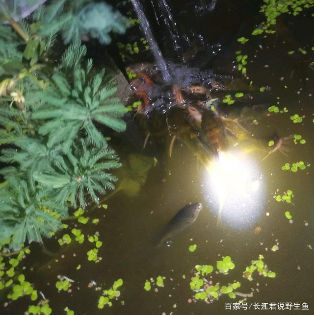 野外大雨开是什么生肖 风大雨大雨身边是什么生肖