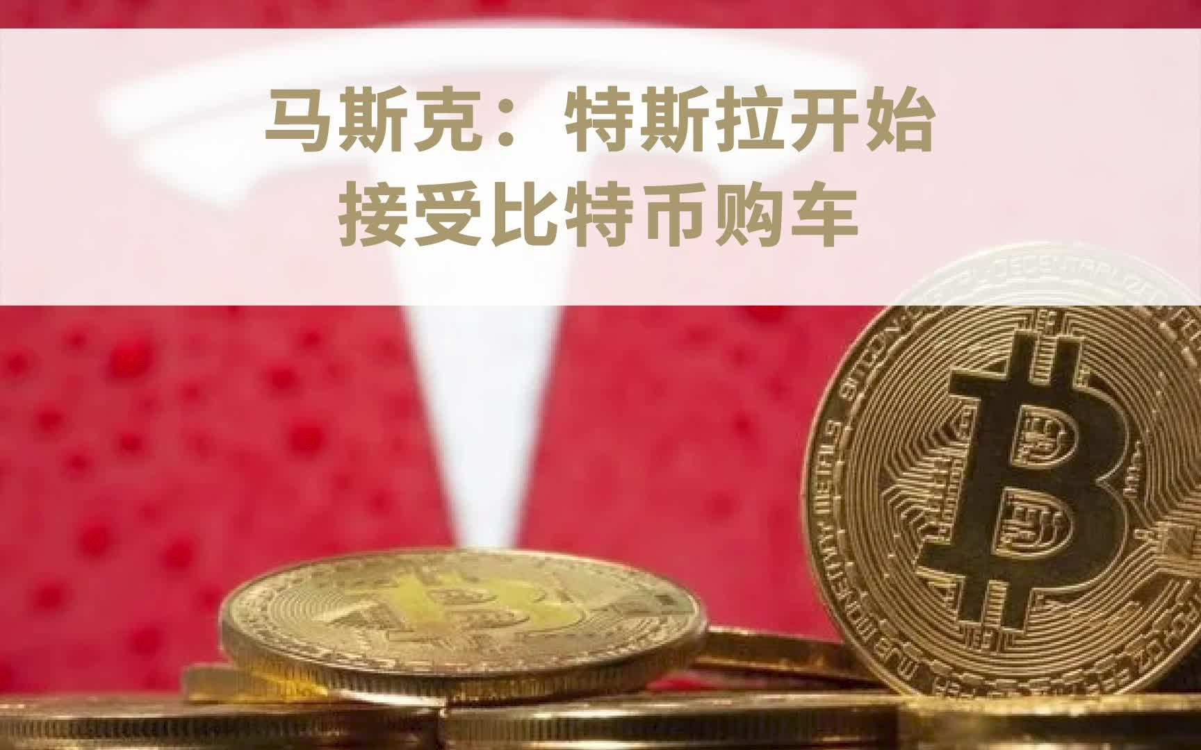特斯拉病毒 特斯拉病毒的图片
