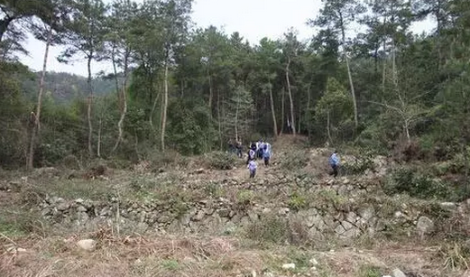 建地基有蛇吉利吗 房子地基有蛇风水好吗 建地基有蛇吉利吗 房子地基有蛇风水好吗