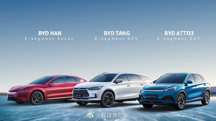 比亚迪业务 比亚迪业务占比