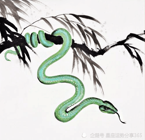 蛇生什么生肖宝宝最好 属蛇的生什么生肖宝宝好 蛇生什么生肖宝宝最好 属蛇的生什么生肖宝宝好