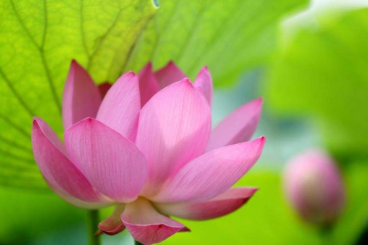顺风顺水是什么生肖 顺风顺水是什么生肖 百度网盘
