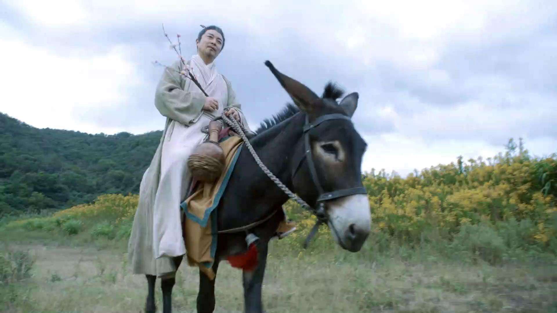 倒骑毛驴看墨镜打一生肖 倒骑毛驴看黑镜是什么生肖