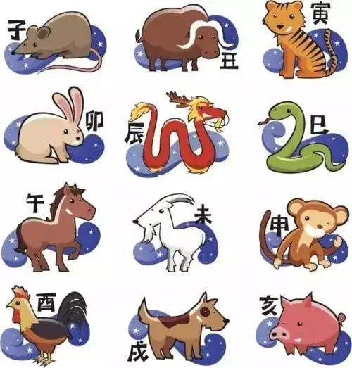 生肖年份2019 生肖年份2022年