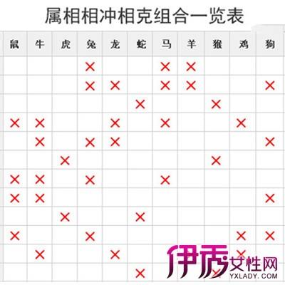 十生肖相生相克 十二生肖相克相生大全
