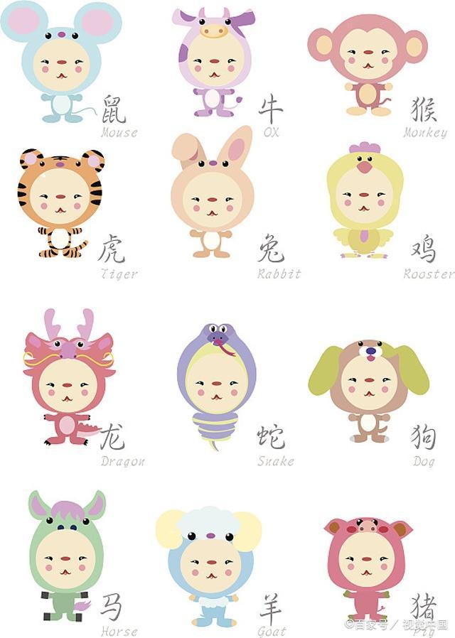 医生代表什么动物生肖 十二生肖哪个动物是医生
