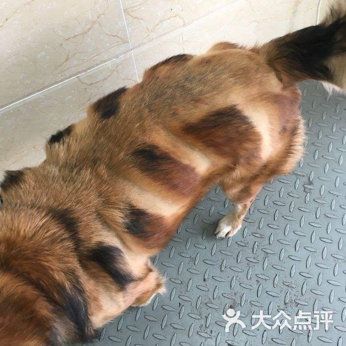 无锡仁华医院大众点评 无锡仁华医院是看什么的医院