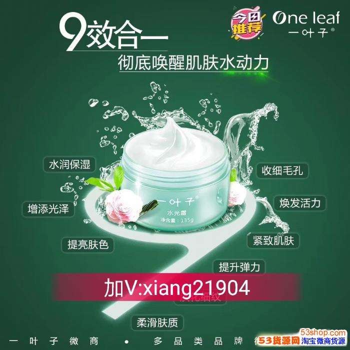 一叶子面膜代理 一叶子面膜公司简介