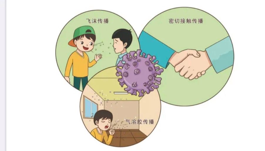 新冠病毒几种能传染人 新冠病毒可以传染几个人