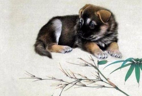 打马虎眼猜一生肖 打虎要看什么打一肖
