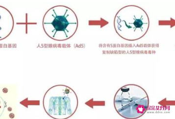 腺病毒载体新冠疫苗好处 腺病毒载体新冠疫苗副作用大