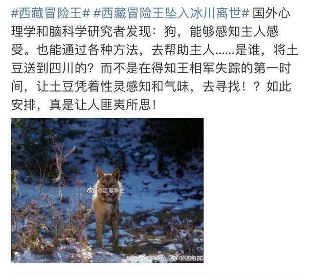 三大死因未解之谜 死因成谜的知名人物