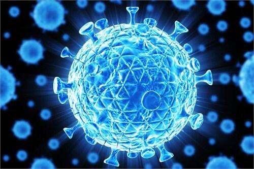 新冠病毒怕不怕潮湿环境 新冠病毒怕不怕潮湿环境呢