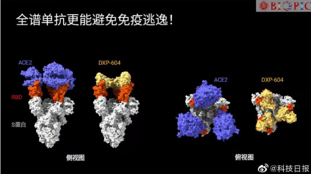 新冠病毒吃什么药草治疗 新冠病毒初期吃什么药可以治疗