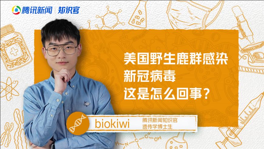 新冠病毒人传鹿 新冠病毒人传鹿已成定局