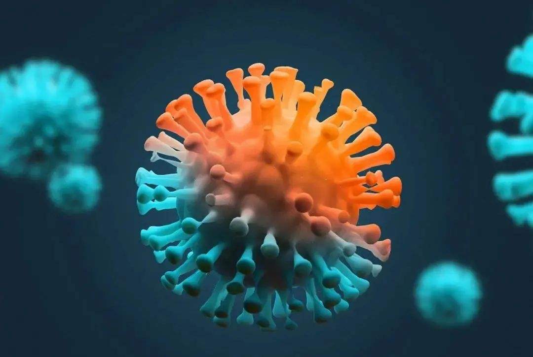 新冠病毒的生活特征 新冠病毒的生活特征是什么