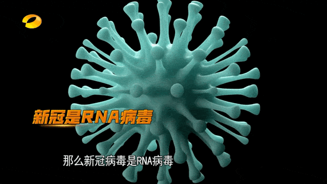 现在汕尾有没有新冠病毒 汕尾有人感染新型冠状病毒吗