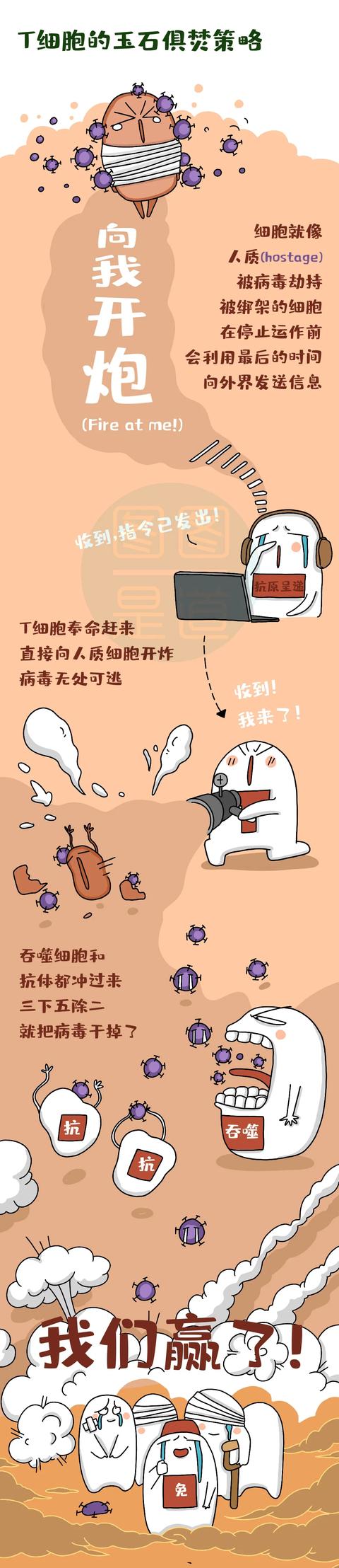 新冠病毒在人体哪里散出 新冠病毒通过什么排出体外