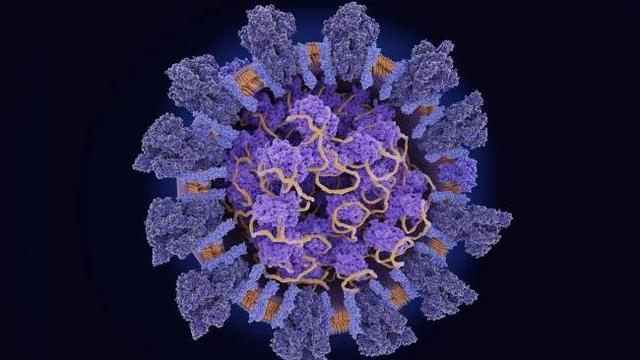 变异新冠病毒生物免疫题 变异新冠病毒生物免疫题目及答案