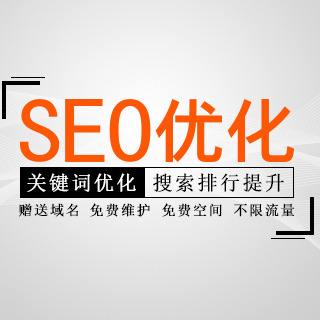 企业seo优化公司 公司网站seo基础优化