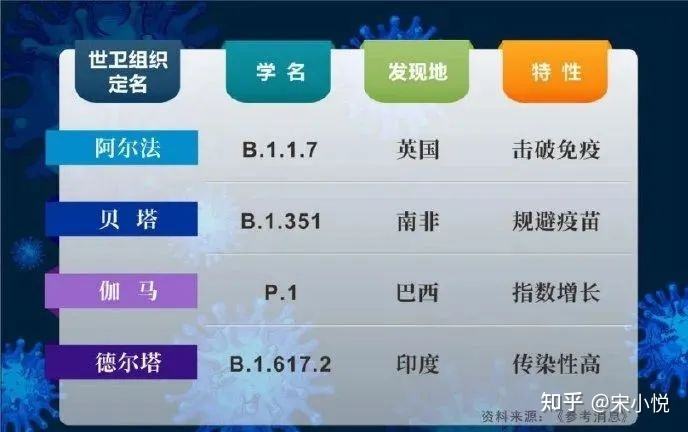 南非新冠新变种病毒知乎 南非新冠病毒变异最新特征