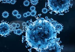 现阶段新冠病毒特征 新冠病毒呈现出来的总体特征