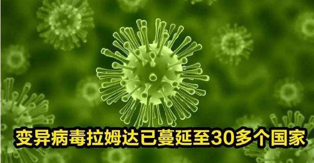 新冠病毒都是啥毒株 新冠病毒都是啥毒株啊