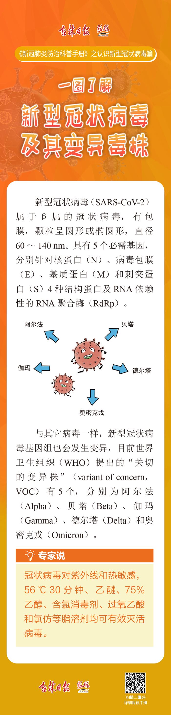新冠病毒都是啥毒株 新冠病毒都是啥毒株啊