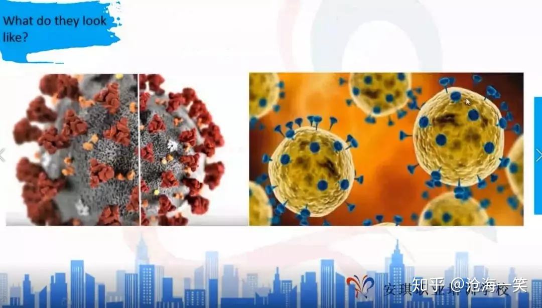 新冠病毒生理学特征 新冠病毒生理学特征是什么