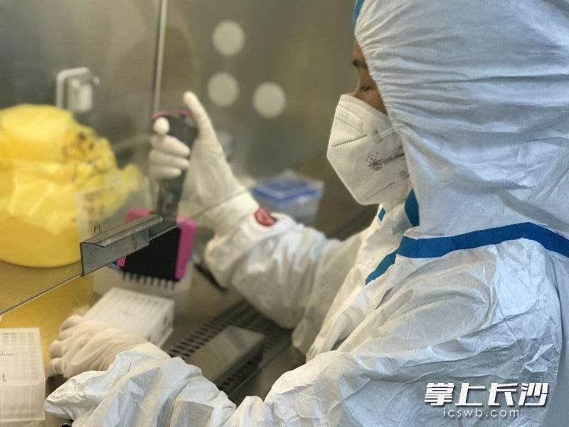 核酸检测和新冠病毒 核酸检测和新冠病毒的关系