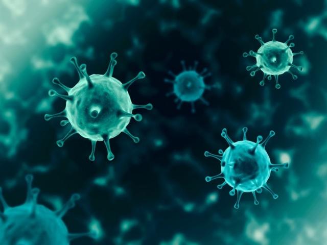 新冠病毒由来的真相 新冠病毒由来的真相是什么 新冠病毒由来的真相 新冠病毒由来的真相是什么