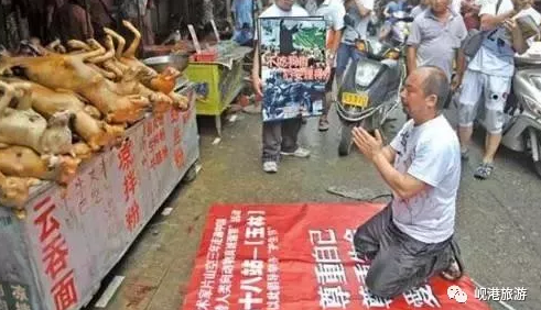 猫肉火锅 猫肉火锅怎么煮好吃