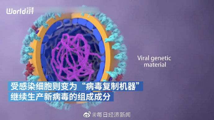 新冠病毒奇思妙想 我的奇思妙想关于新型冠状病毒