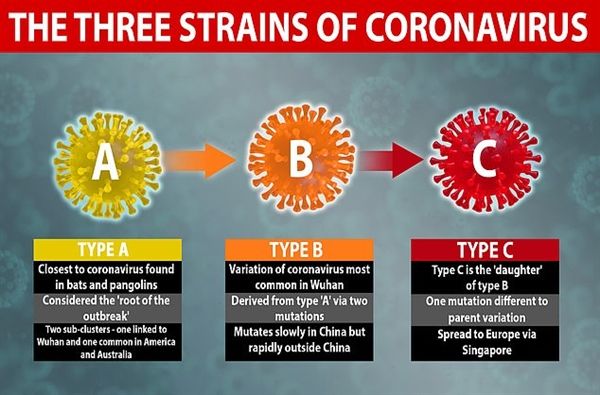 新冠的病毒有几种 新冠的病毒有几种类型
