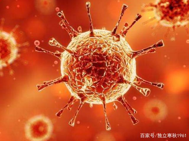新冠的病毒有几种 新冠的病毒有几种类型