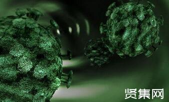 新冠病毒感染血管损伤 新冠病毒感染血管损伤怎么办