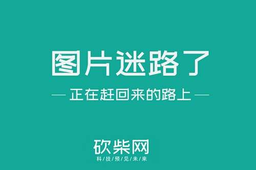 汽车行业未解之谜图片高清 