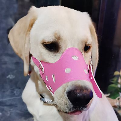 狗狗防叫口罩 狗带口罩会叫吗