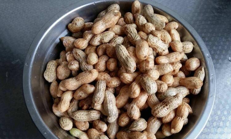 鲜花生放冰箱保鲜多久 新鲜花生放冰箱能放多久