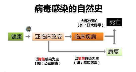 新冠病毒怎样感染机制 新冠病毒的感染过程是怎样的