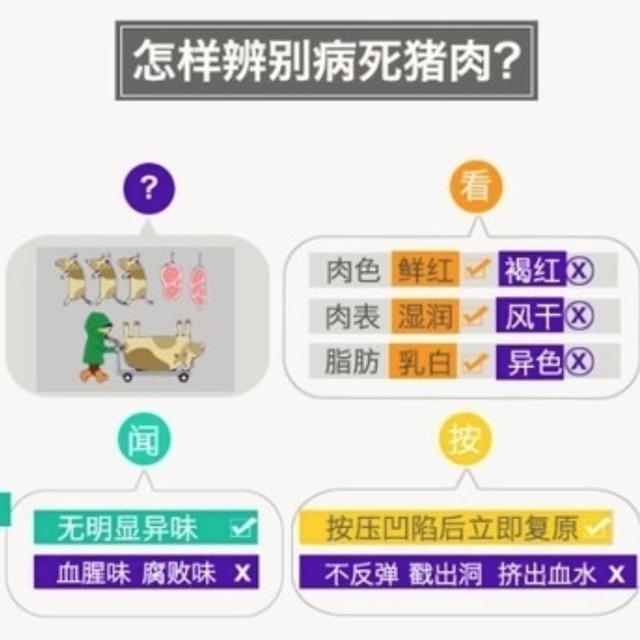 猪肉如何检验猪肉新冠病毒 猪肉如何检验猪肉新冠病毒感染