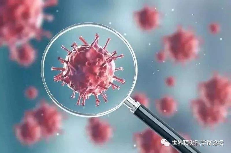 韩国新冠病毒诊断卡 韩国新冠病毒确诊病例