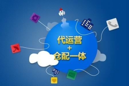 电商代运营商 电商代运营商业计划书