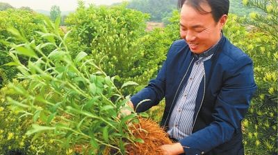 苍术可以预防新冠病毒吗 什么可以有效杀灭新冠病毒