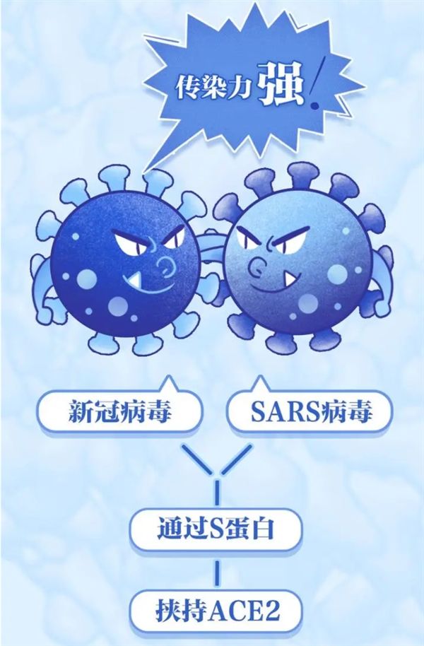 检测新冠病毒模式图 检测新冠病毒模式图解