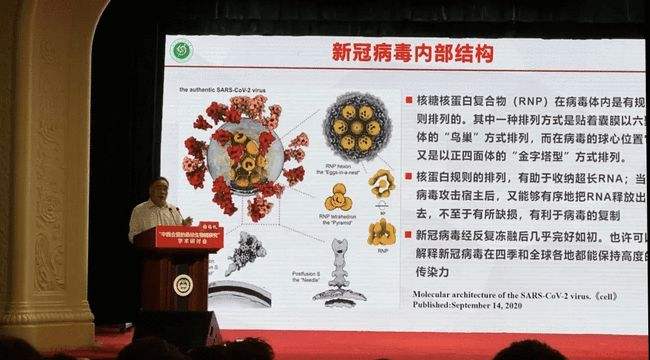 幼师新冠病毒课后反思 幼儿园新冠病毒教案反思