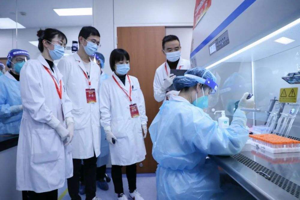 新冠病毒选手与尤 