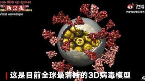 新冠病毒的基本结果 新冠病毒的基本结果是