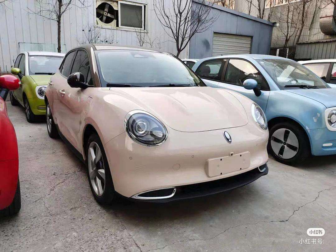 欧洛拉好猫价格 欧拉好猫多少钱?